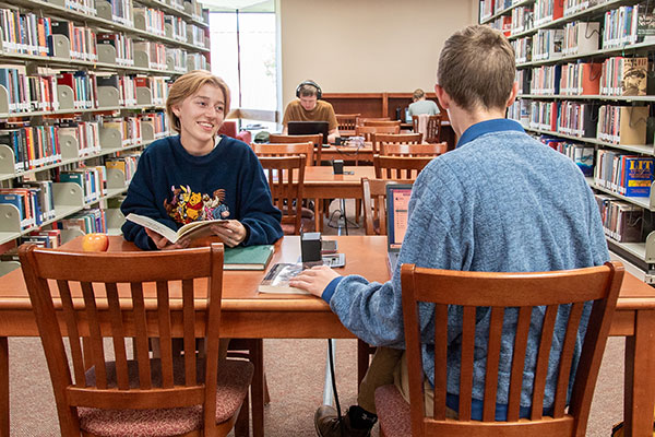 students studying in the library