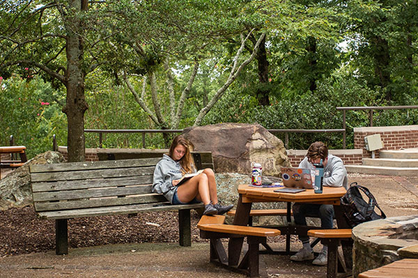 students studying outdoors