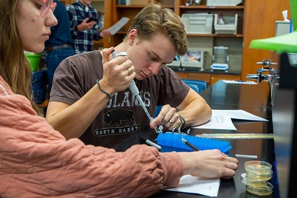 students in chemistry lab