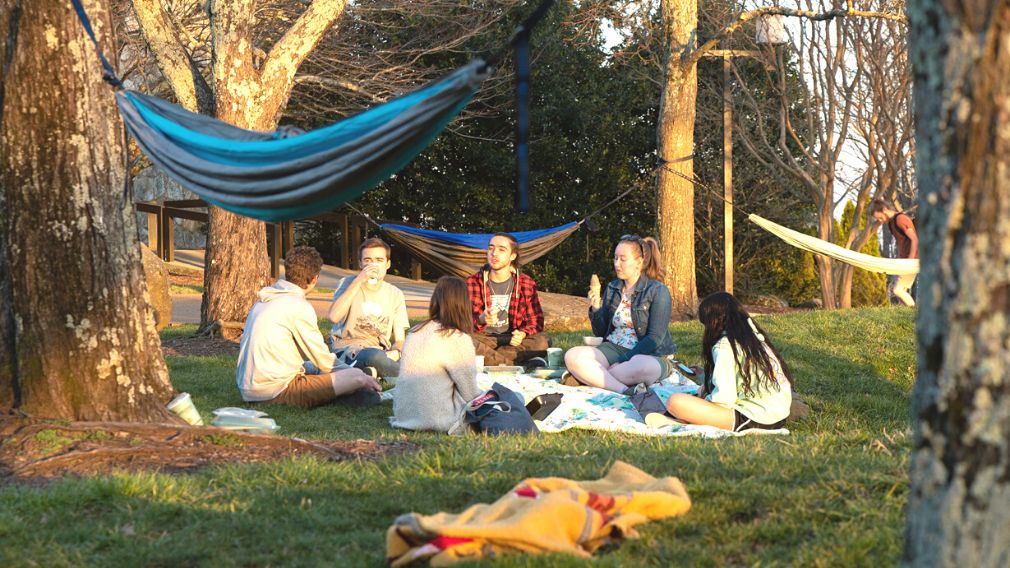 Students sitting in The Crater with hammocks surrounding them